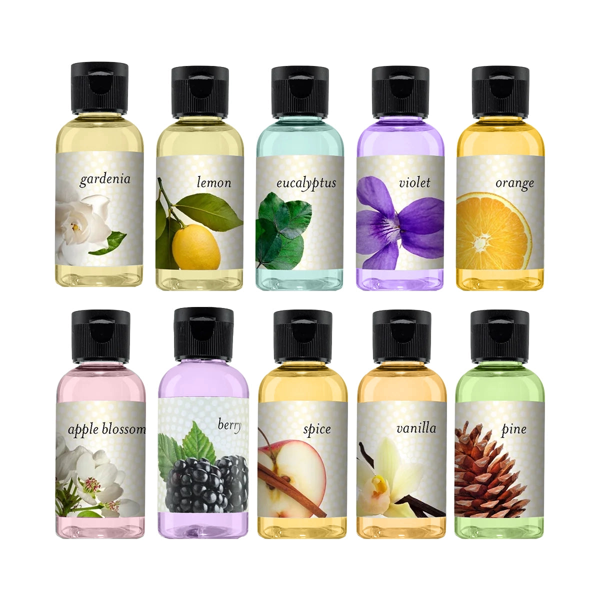Assorted Rainbow fragrance collection