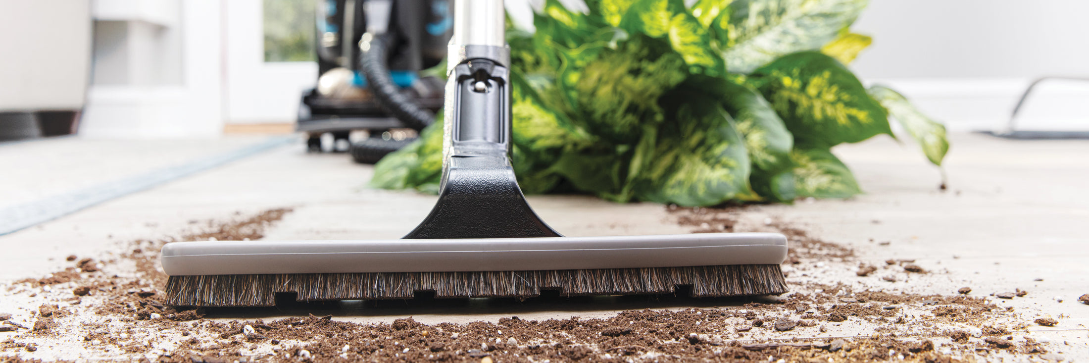 Rainbow floor brush lifestyle banner
